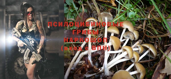 герыч Зерноград
