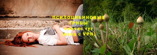 ALPHA PVP Зеленодольск