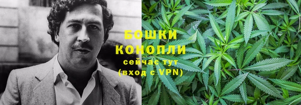 крисы Зеленокумск