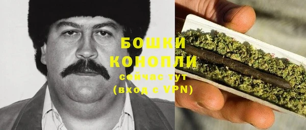 крисы Зеленокумск