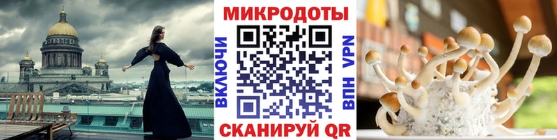 Купить где  Нарткала  Галлюциногенные грибы мухоморы 
